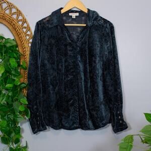 VTG Coldwater Creek Burnout Velvet Paisley Blouse Goth | L | Dark Winter